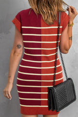 Striped Quarter Zip Cap Sleeve Sweater Dress