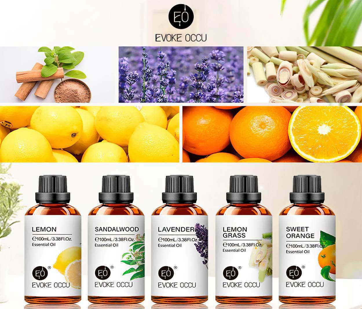 100ml Essential Oils for Diffuser and Humidifier: Vanilla, Eucalyptus, Jasmine, Rose, Lavender, Rosemary, Peppermint, Tea Tree