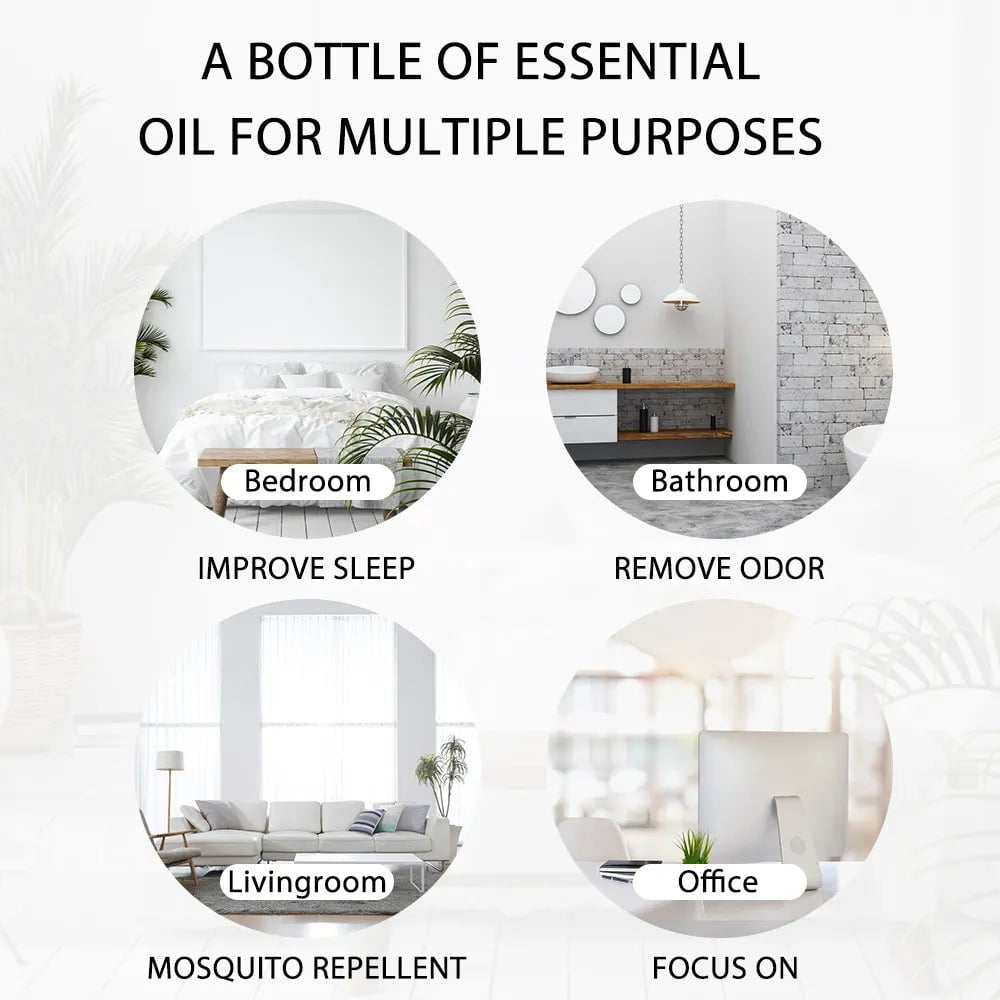 100ml Mint Eucalyptus Essential Oil Diffuser: Pure Natural Oils - Lavender, Vanilla, Sandalwood, Chamomile, Lemon, Tea Tree