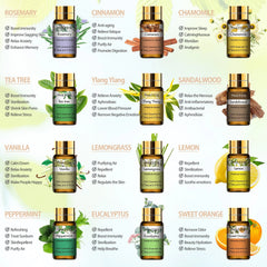 15Pc Gift Set Pure Essential Oils - Natural Plant Aroma for Essential Oil Diffuser - Eucalyptus, Vanilla, Mint, Lavender, Rose, Tea Tree