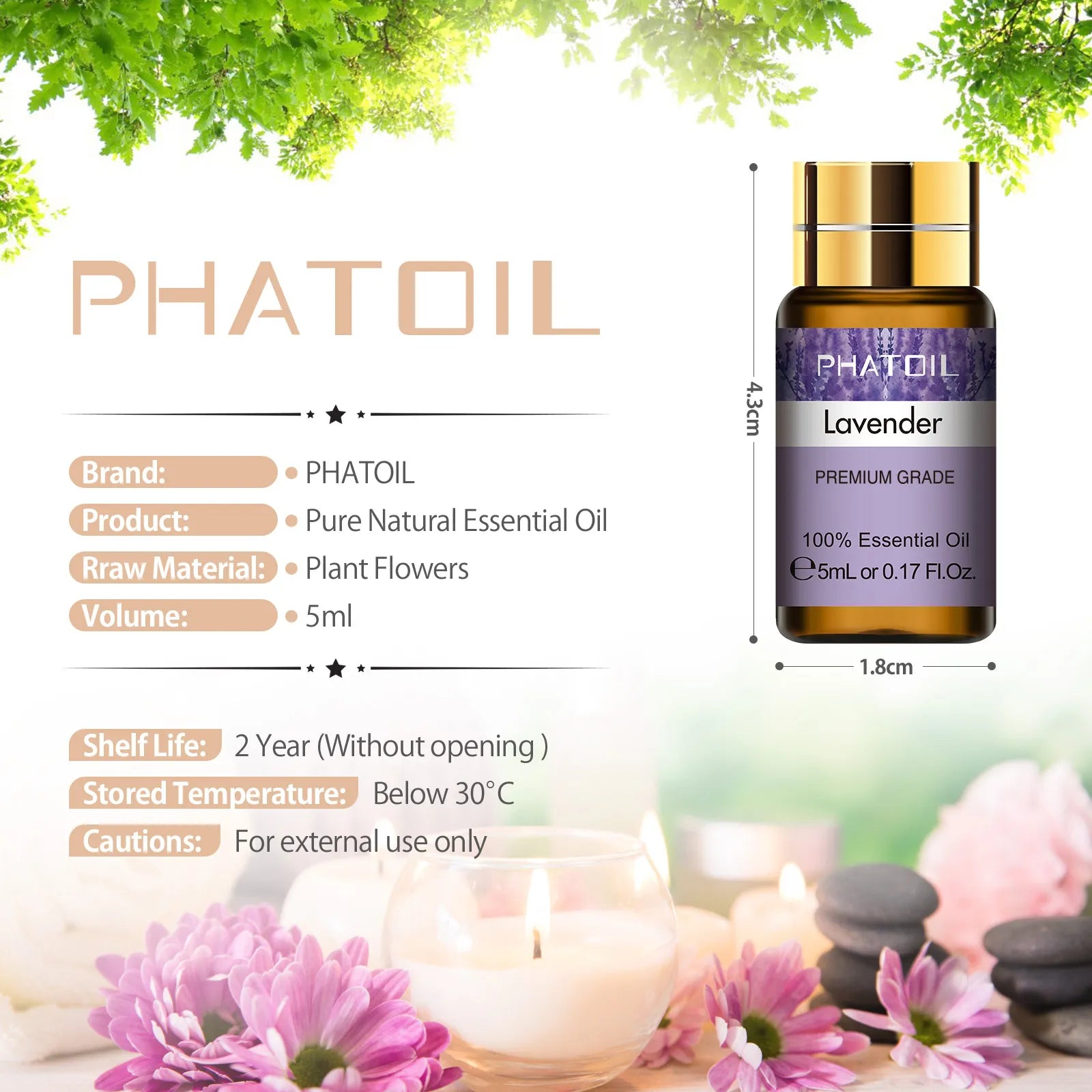 15Pc Gift Set Pure Essential Oils - Natural Plant Aroma for Essential Oil Diffuser - Eucalyptus, Vanilla, Mint, Lavender, Rose, Tea Tree