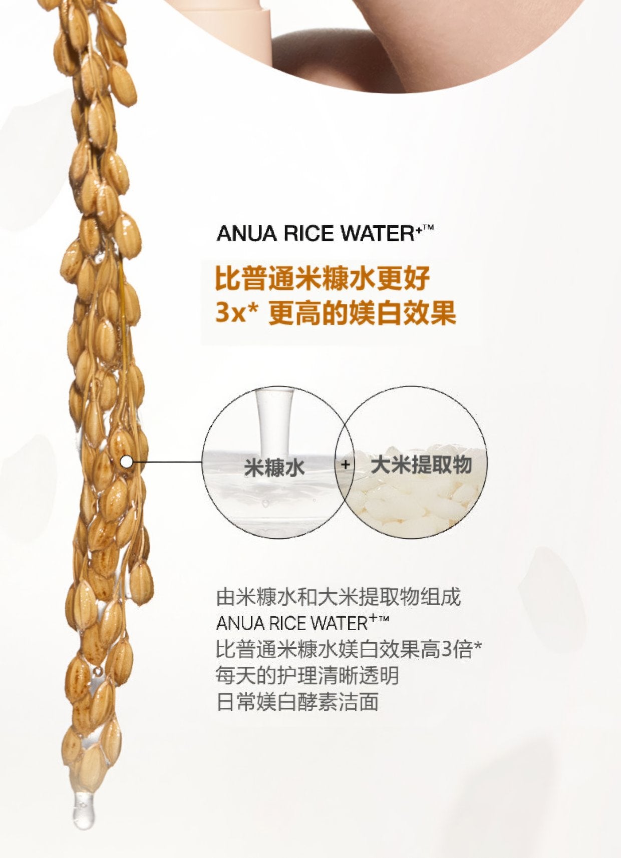 Anua Rice Enzyme Cleansing Powder