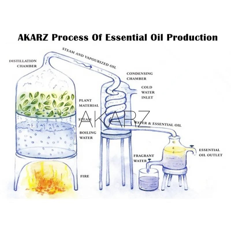 AKARZ™ Frankincense Essential Oil: Natural Anti-Aging, Restores Skin Elasticity, Balances Grease, Relaxes, Removes Odor