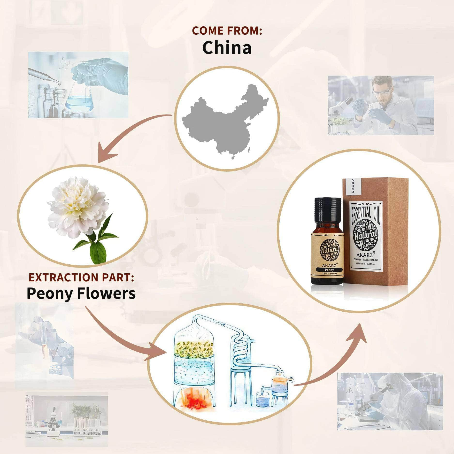 AKARZ™ Peony Essential Oil: Natural Aromatherapy for Moisture Retention, Skin Whitening, Air Purification, Antioxidant