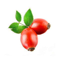 AKARZ™ Rose Hip Oil - Natural Aromatherapy for High-Capacity Skin Care, Body Massage, and Spa - Rose Hip Essential Oil