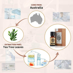 AKARZ™ Tea Tree Essential Oil: Natural Pure Plant Extracts for Organic Skin and Body Massage Care