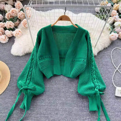 Braided Lantern Sleeves Knitted Sweater