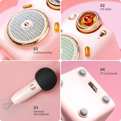 Divoom Fairy-OK Portable Bluetooth Speaker - Microphone Karaoke Function with Voice Change, FM Radio, TF Card Slot