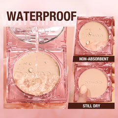 Face Powder: Oil-control, 24 Hours SPF 30 PA+++, Long Lasting, Waterproof, Matte - Makeup Setting Compact Powder