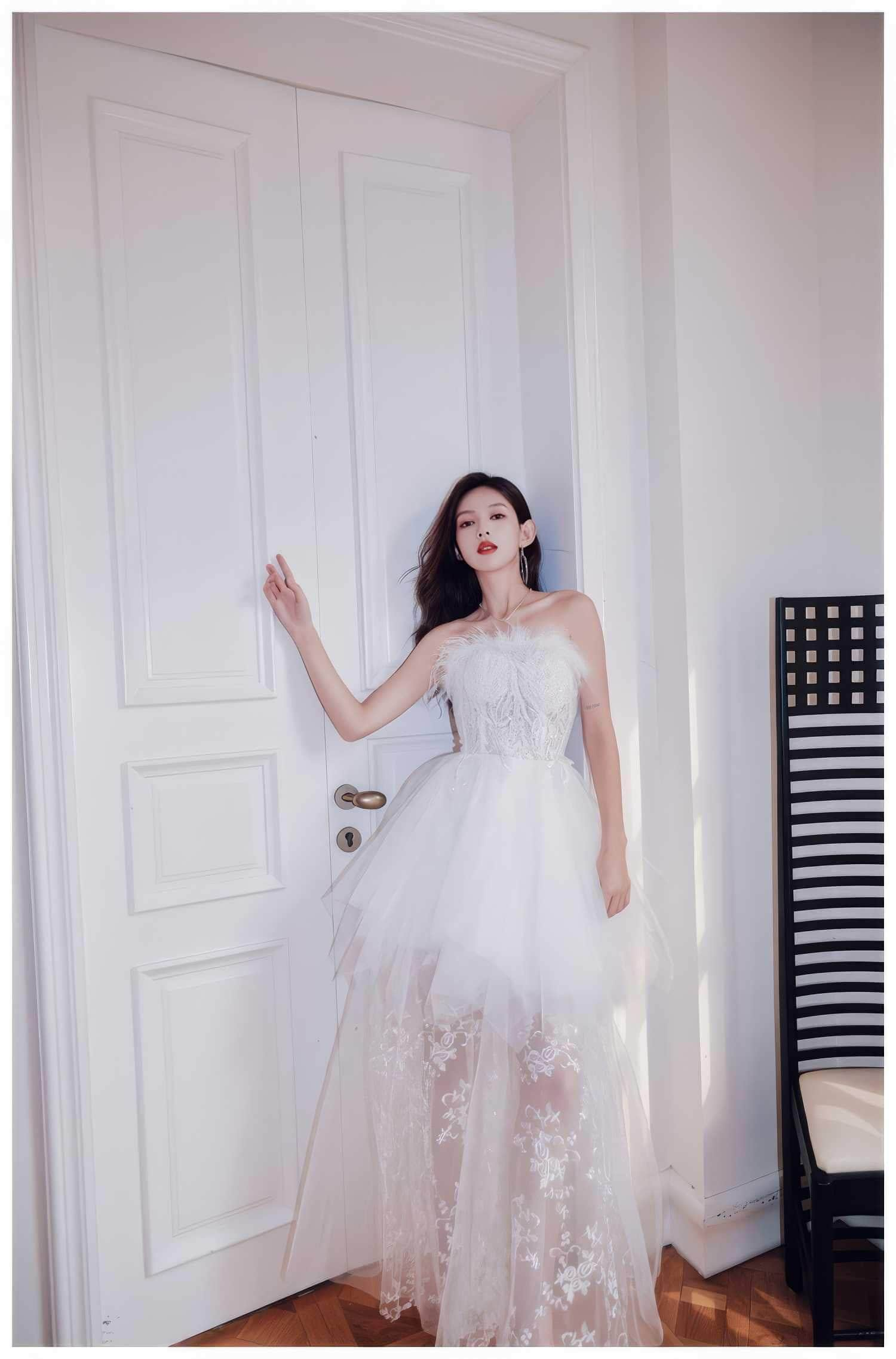 Feathered Embroidered Tulle Prom Dress