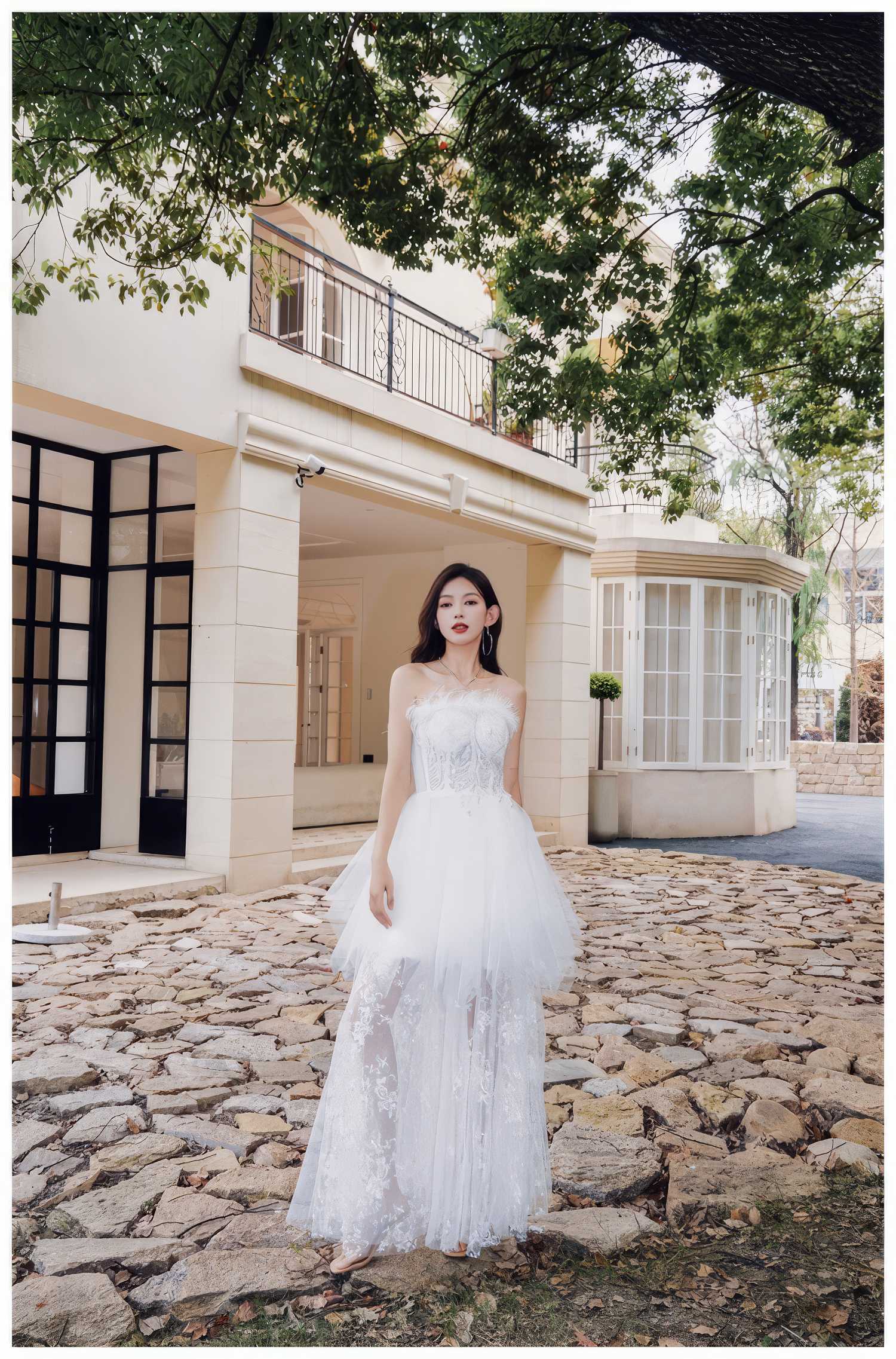 Feathered Embroidered Tulle Prom Dress