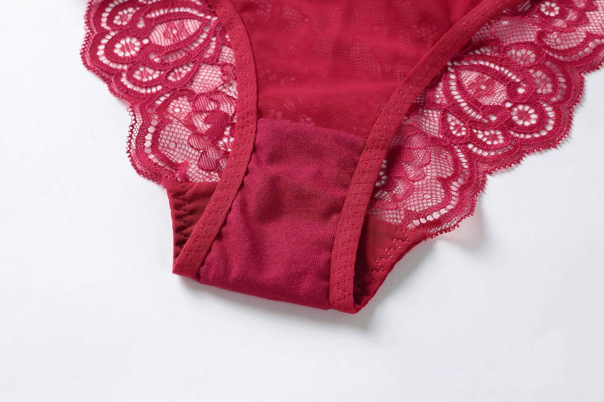 Fine Trimmed Lace Mesh Boudoir Bra Panty Set