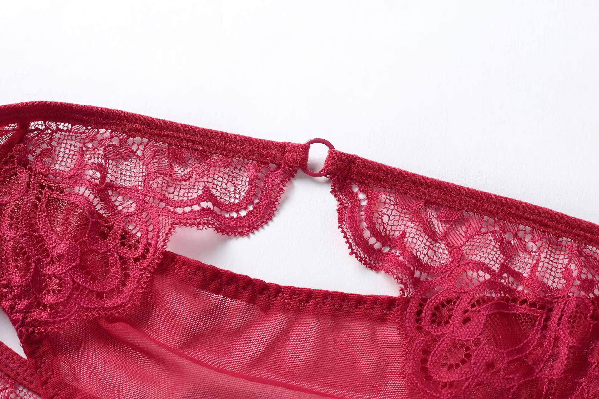 Fine Trimmed Lace Mesh Boudoir Bra Panty Set