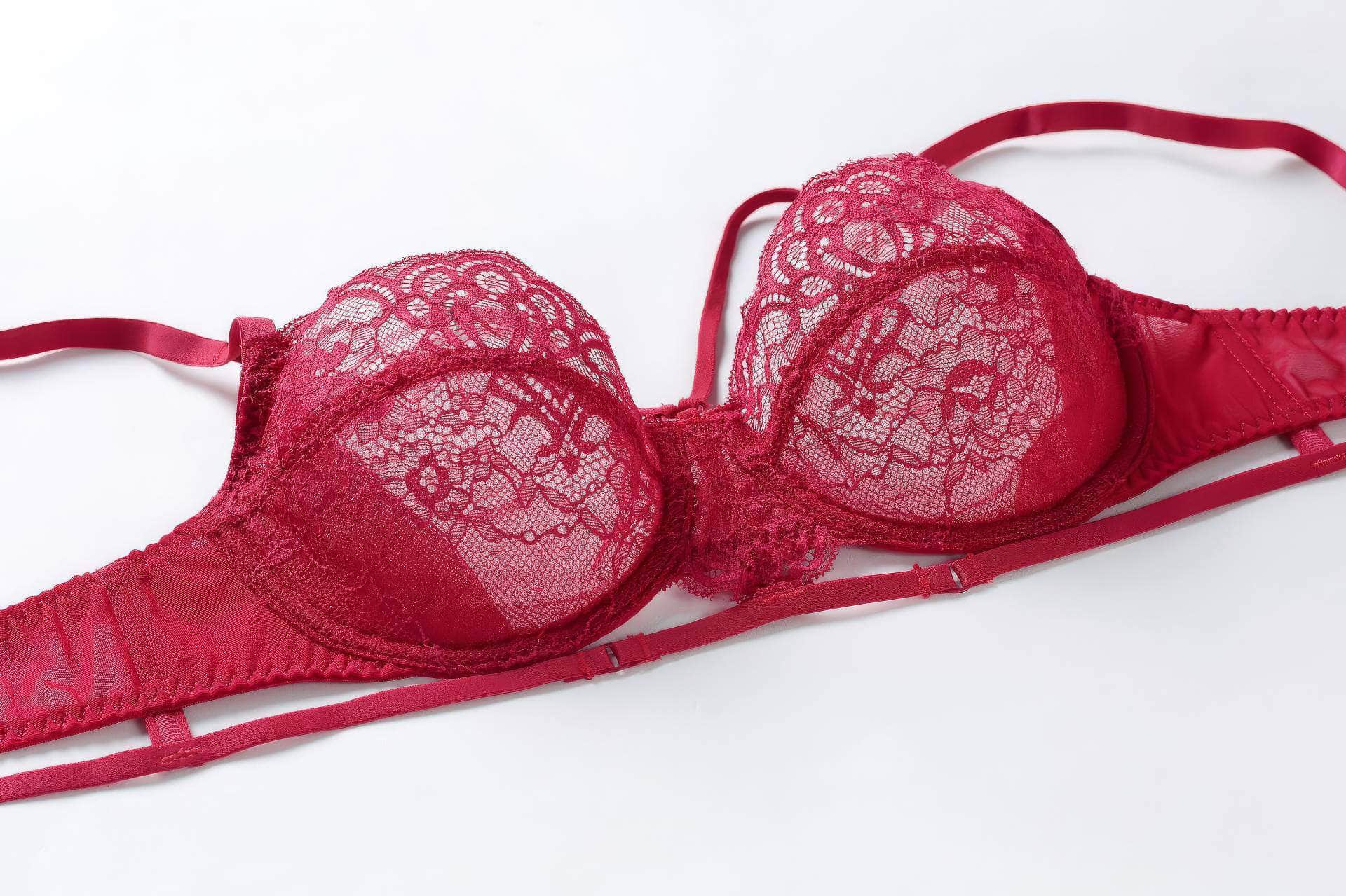 Fine Trimmed Lace Mesh Boudoir Bra Panty Set