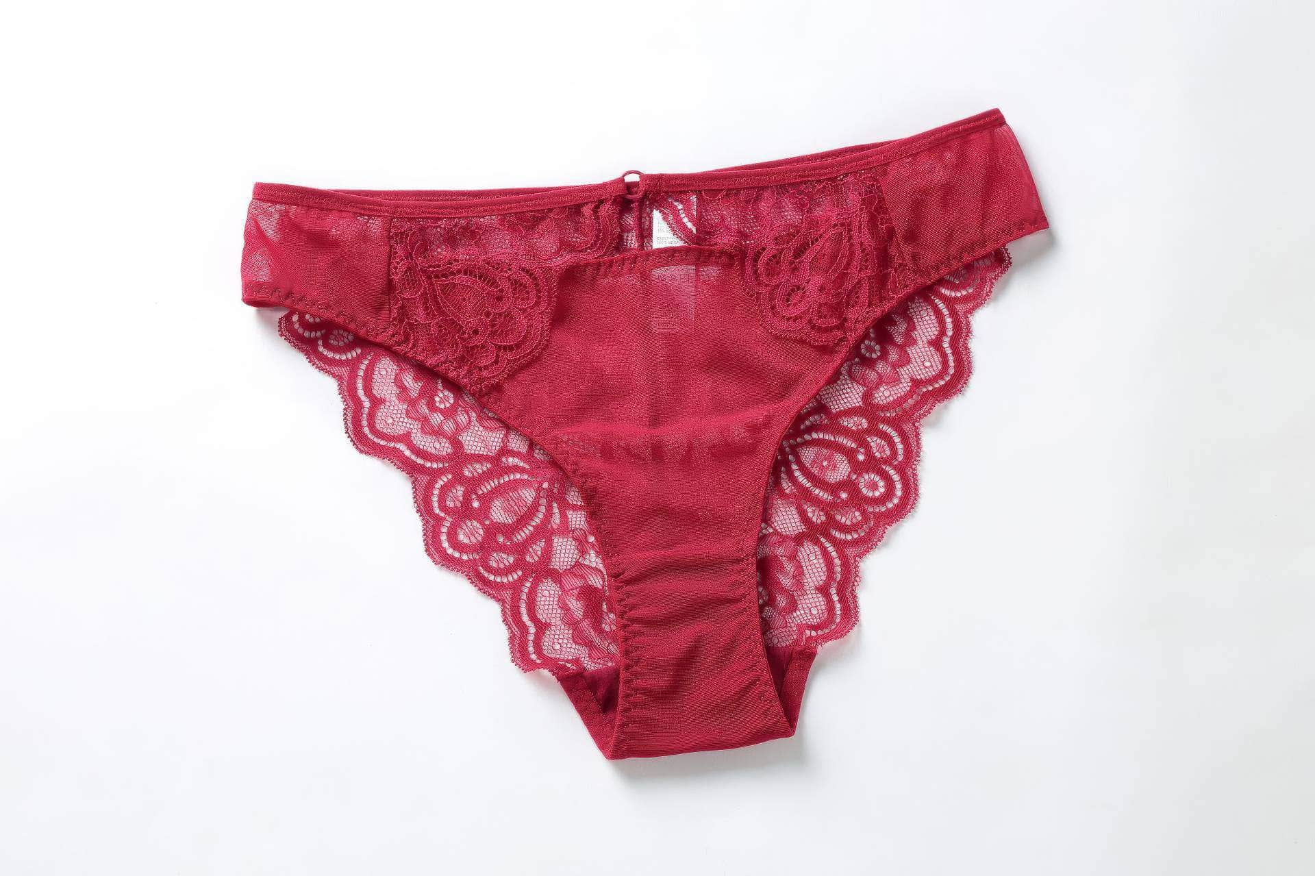 Fine Trimmed Lace Mesh Boudoir Bra Panty Set