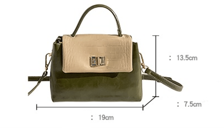 Flap Top Mini Crossbody Bag with Handle