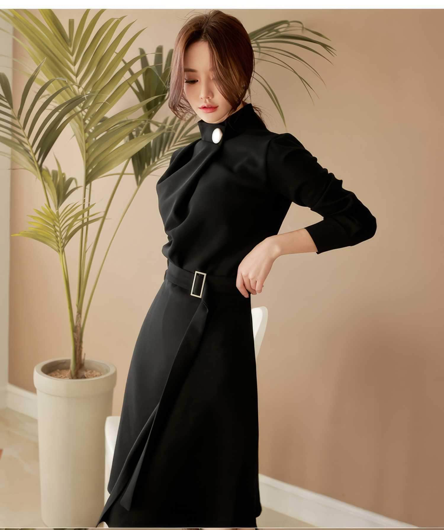 High Collar Neck Belted A-line Dress