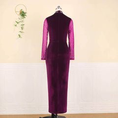 High Neck Pearl-Studded Mesh Velvet Dress