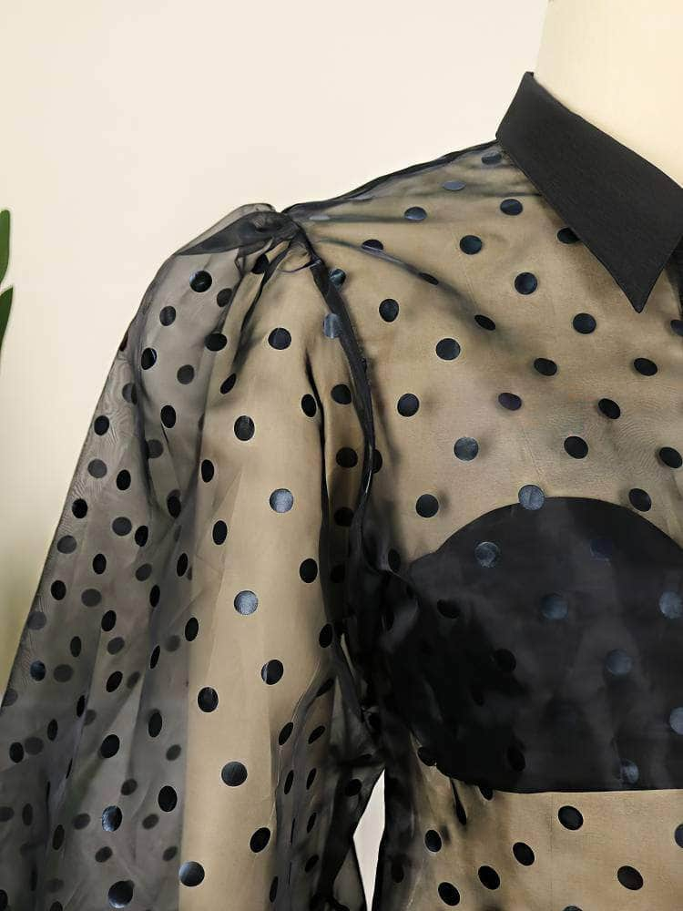 Lantern Sleeves Polka Dot Organza Blouse