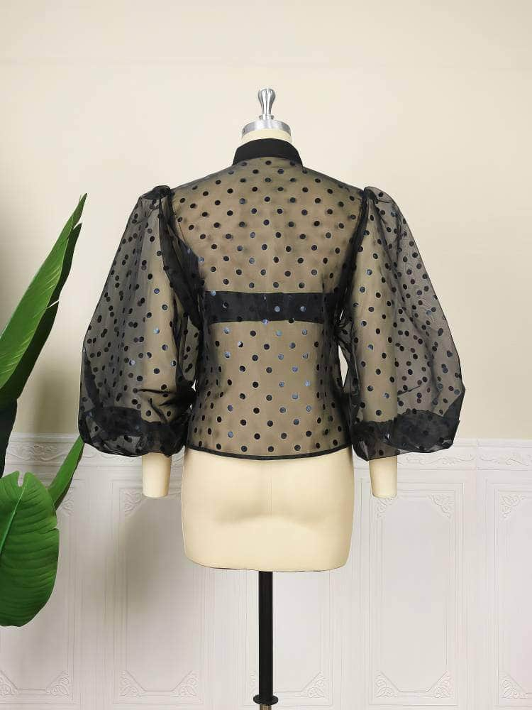 Lantern Sleeves Polka Dot Organza Blouse