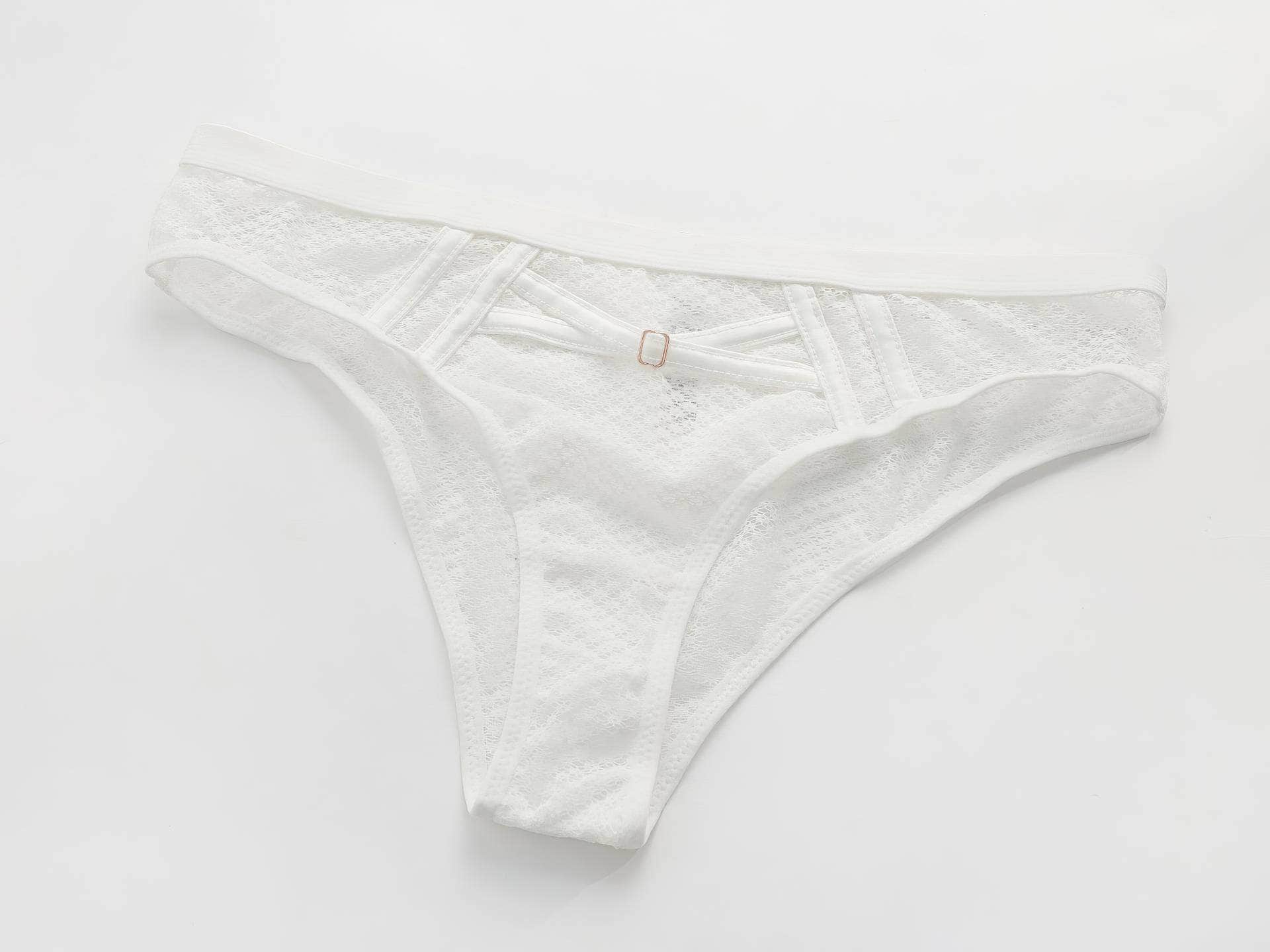 Mesh Embroidered Bra Panty Set