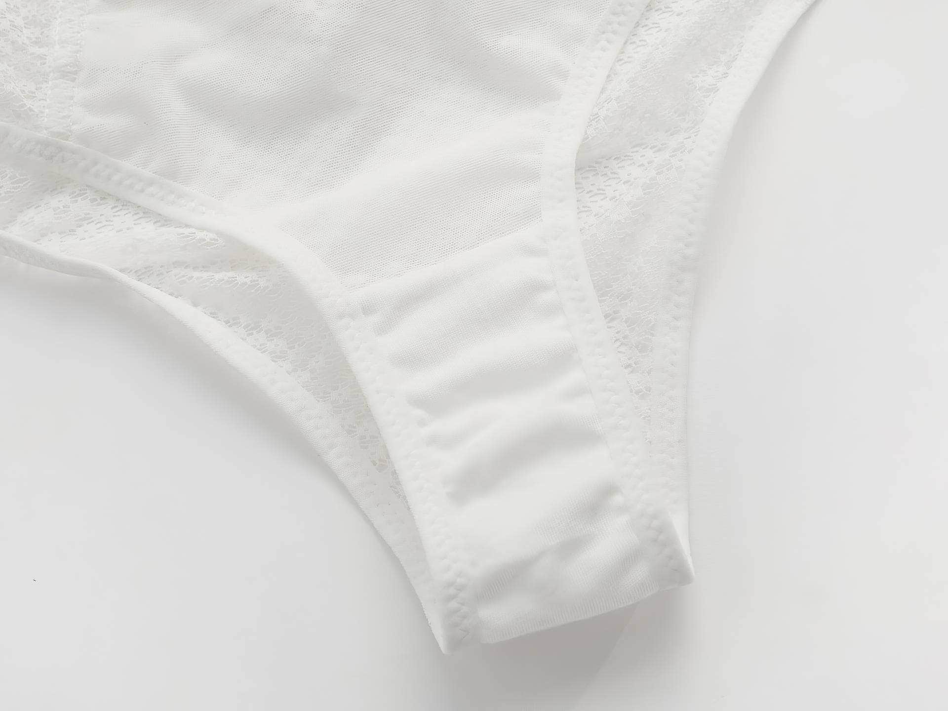 Mesh Embroidered Bra Panty Set