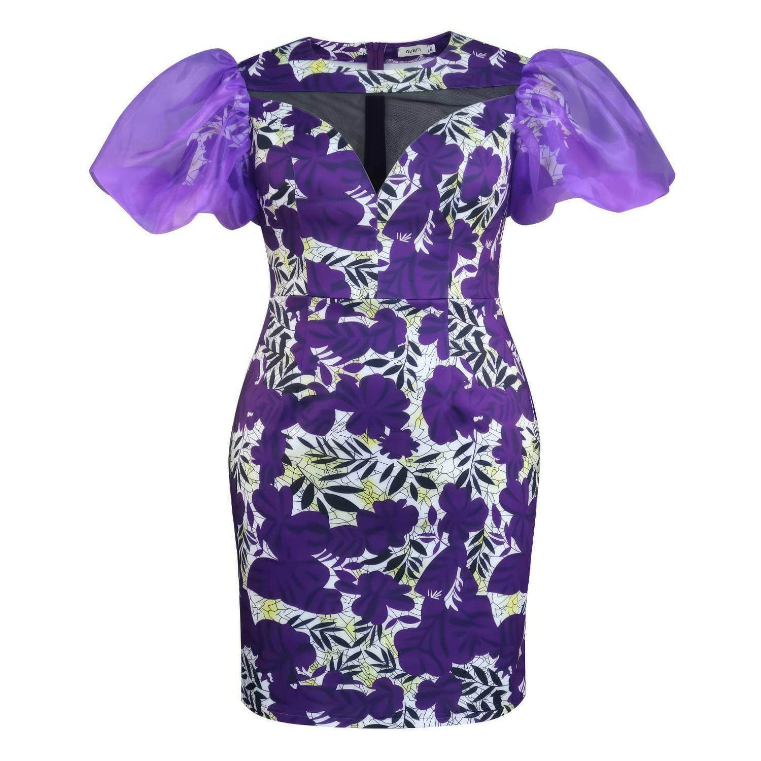 Mesh Lantern Sleeves Floral Mini Slimfit Dress