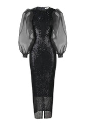 Mesh Lantern Sleeves Sequin Slimfit Dress