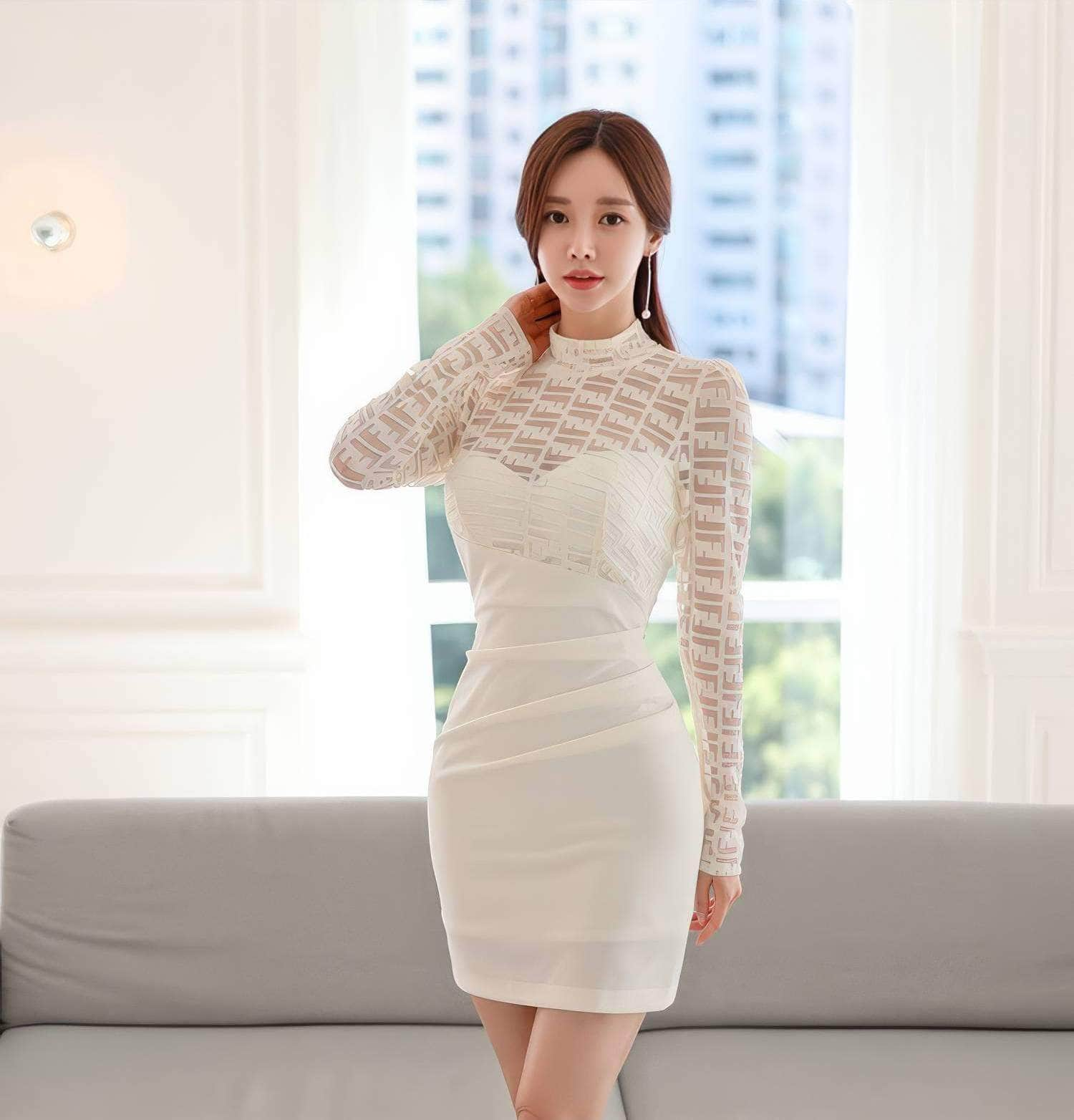 Mesh Panel Long Sleeves Slimfit Mini Dress