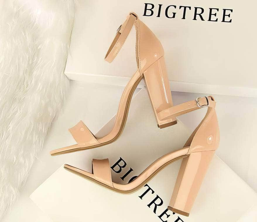 Open Toe Ankle Strap Block Heels