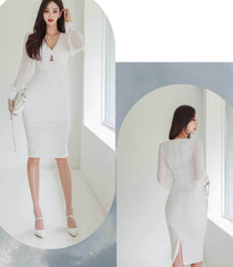 Organza Long Sleeves Cut Out Detail Pencil Dress