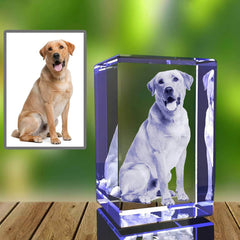 Personalized Sympathy Tribute - Custom Gift for the Loss of a Beloved Pet, Crystal Decor Keepsake Offering as a Memorial for the Departed Loved One