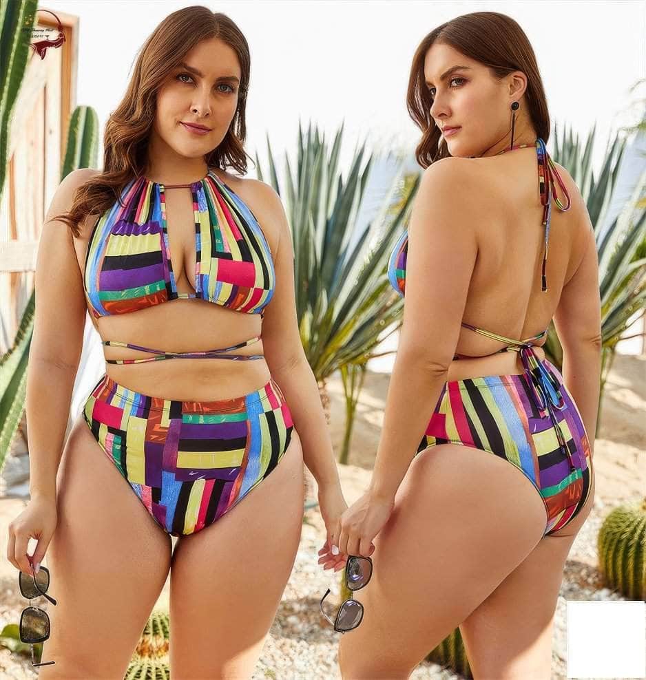 Plus Size Colorful Geometric Print Two-Piece Backless Swimwear