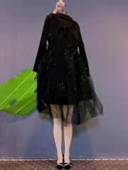 Plus Size Mesh Sequin A-Line Dress