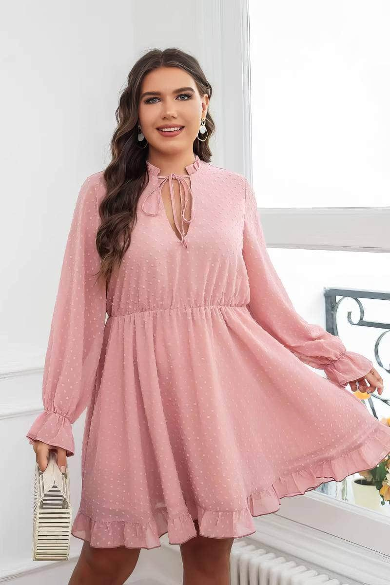 Plus Size Ruffled Hem Lace Tie Neck Dress