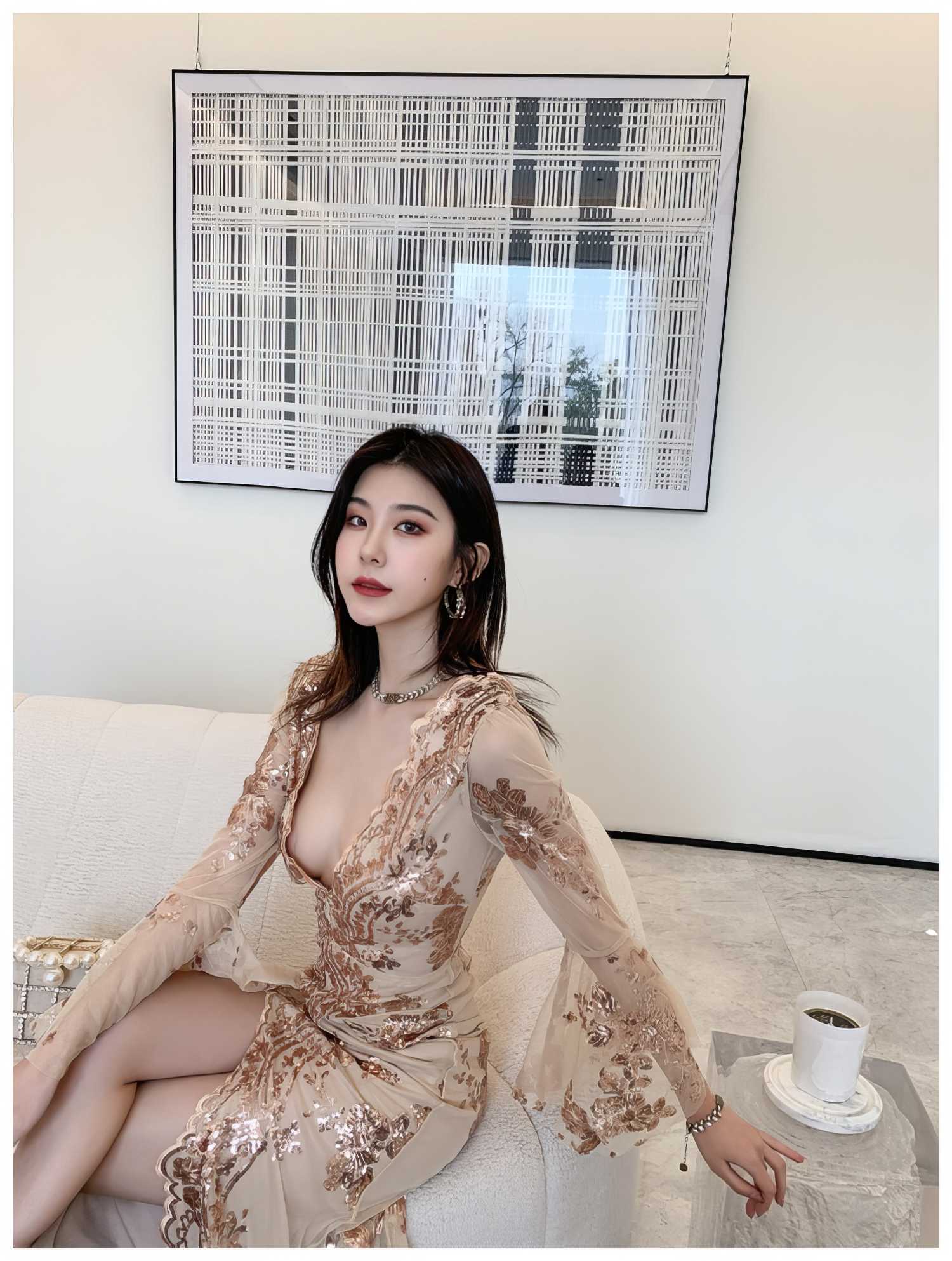 Sheer Sleeve Embroidered Sequin Open Slit Dress