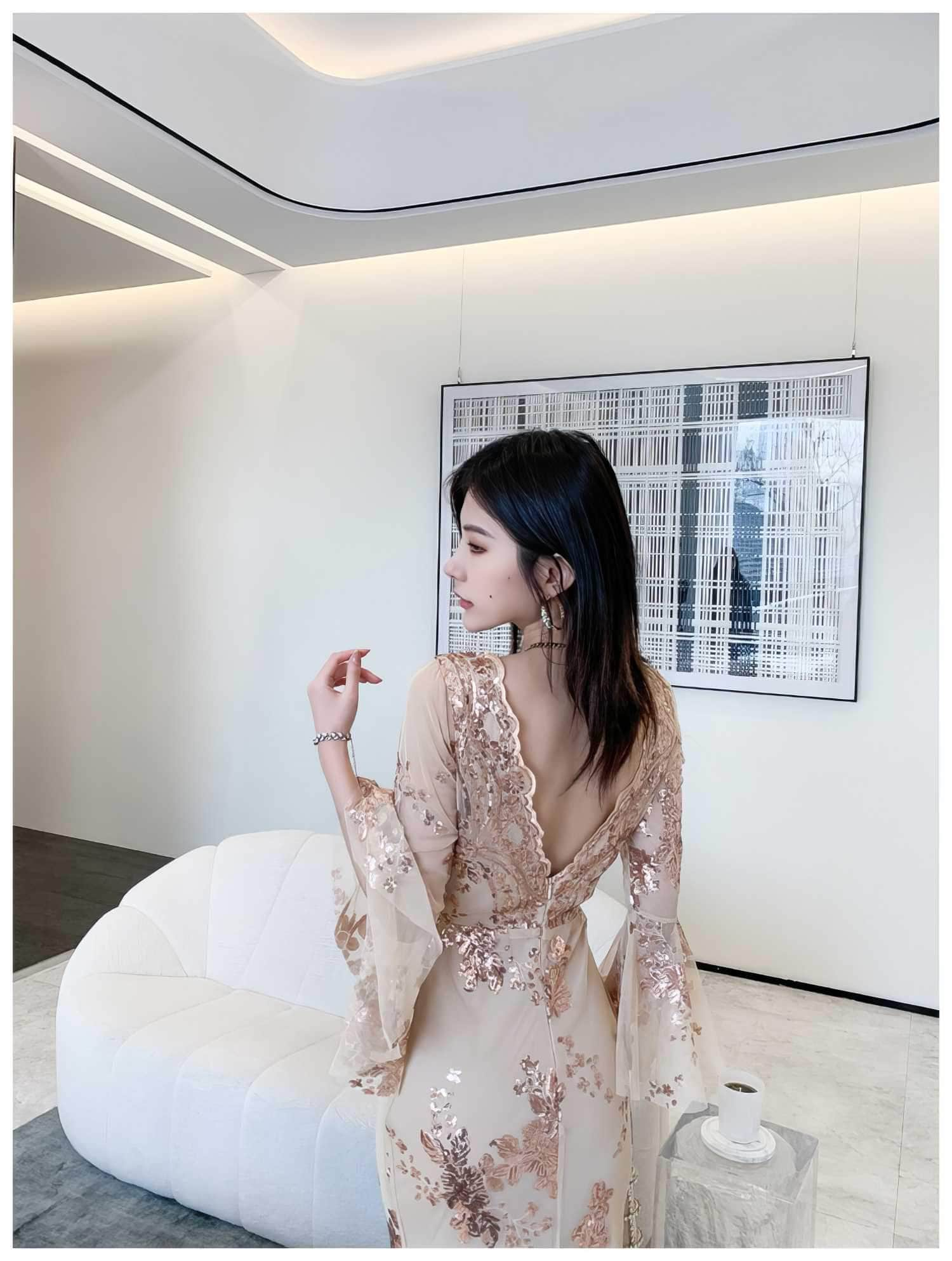 Sheer Sleeve Embroidered Sequin Open Slit Dress