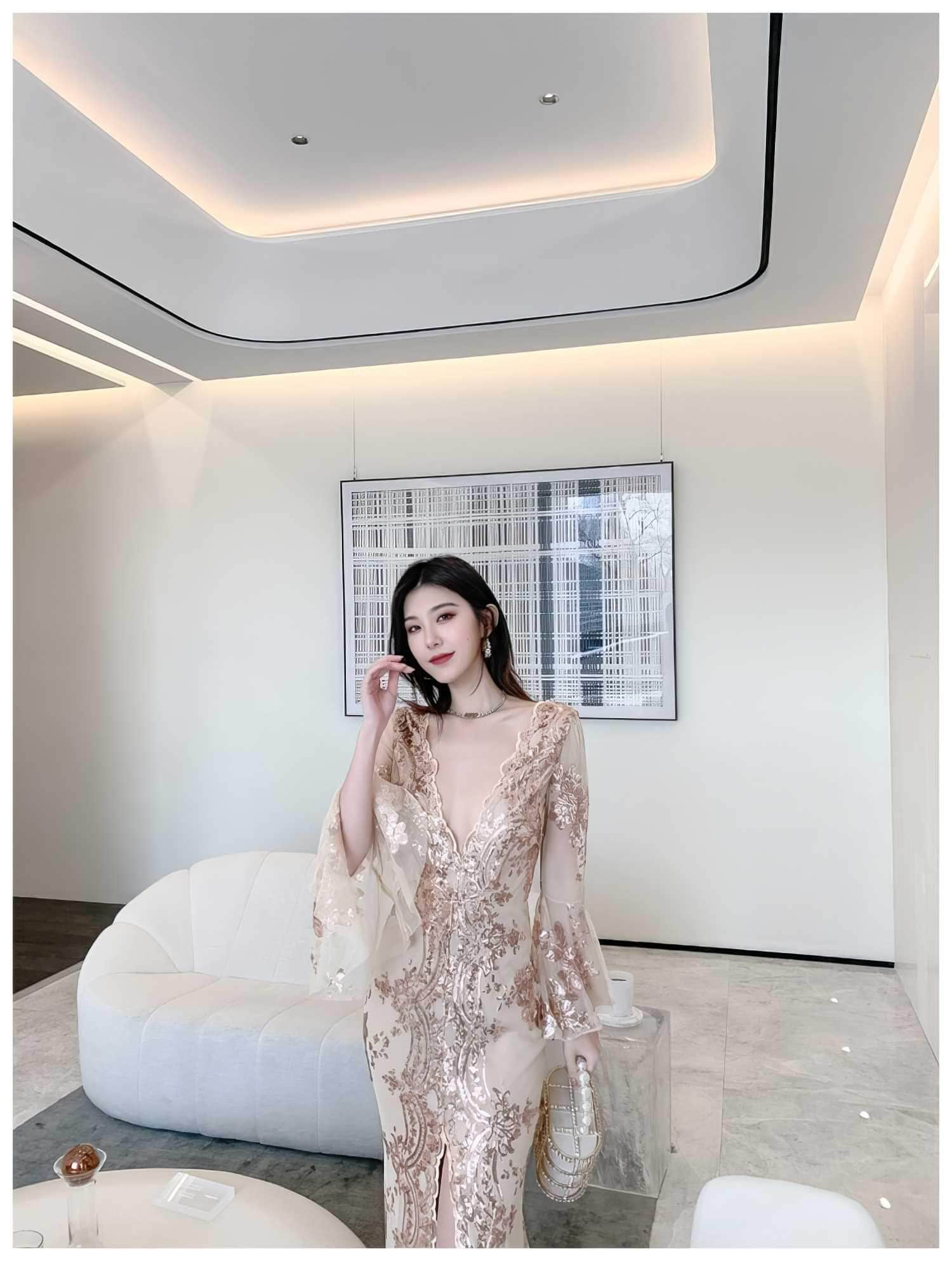 Sheer Sleeve Embroidered Sequin Open Slit Dress