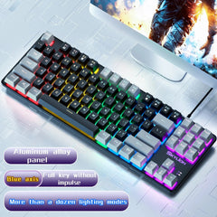 SKYLION H87 Wired Mechanical Keyboard: 10 Colorful Lighting Modes for Gaming & Office | Compatible with Windows & iOS