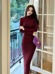 Turtleneck Ribbed Long Sleeve Slim Fit Dress